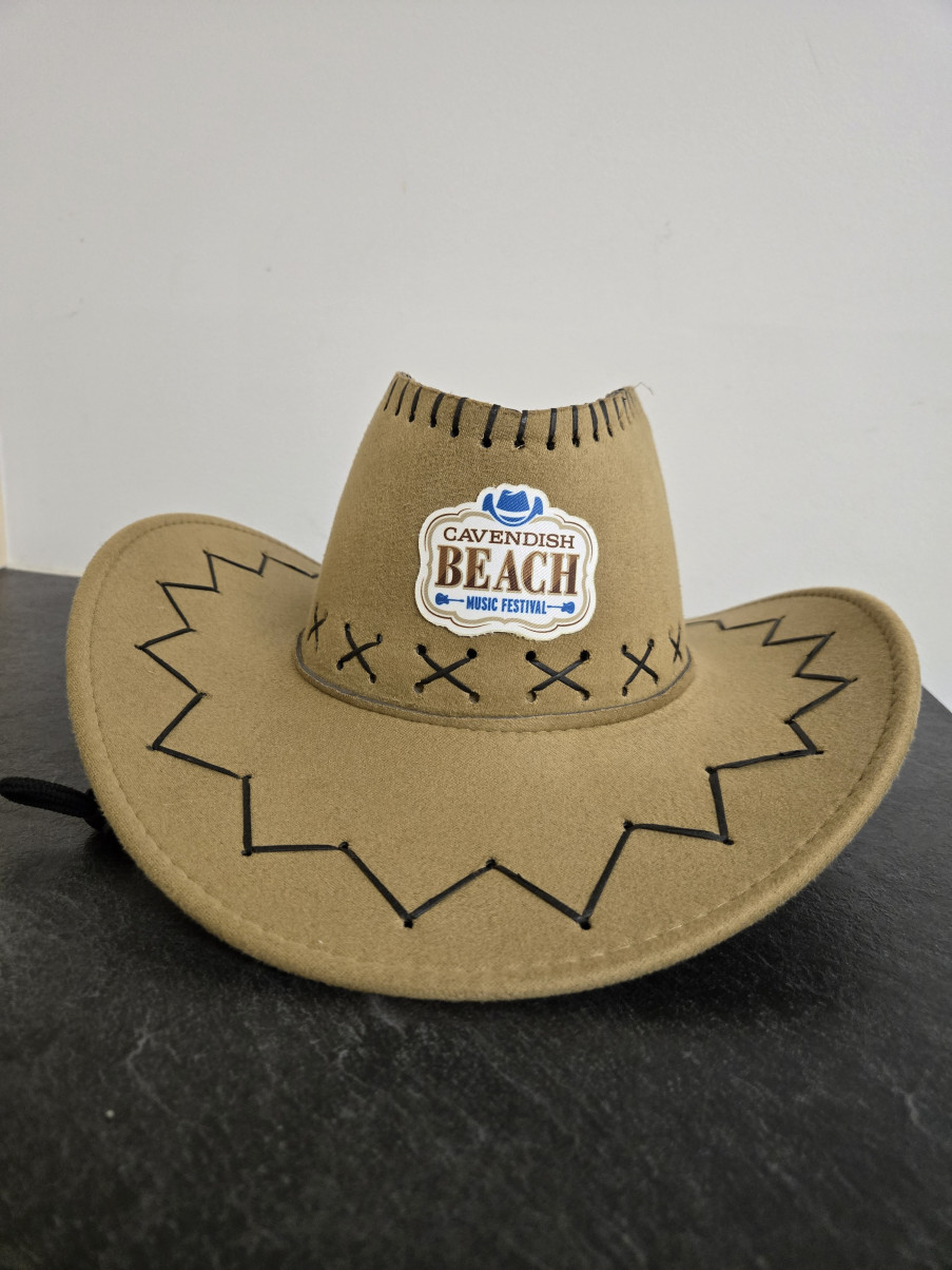 Suede cowboy hat